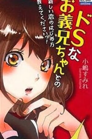 Truyện Tranh Do S na Oniichan to no Atarashii Koi no Hajimekata Oshiete Kudasai!